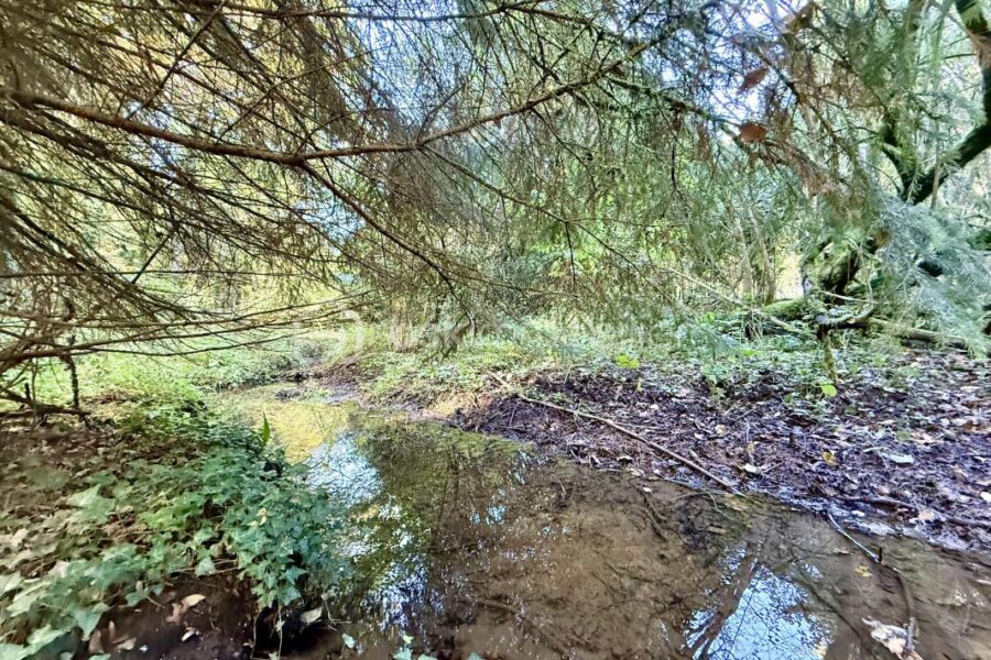 Maison à vendre à Béruges — Vue nature — photo 20