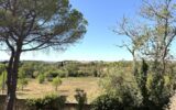 Maison à vendre à Malves-en-Minervois — Vue nature — photo 21