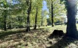Maison à vendre à Béruges — Vue nature — photo 21