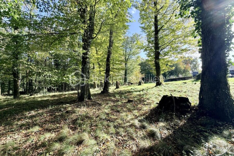 Maison à vendre à Béruges — Vue nature — photo 21