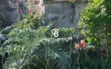 Maison à vendre à Dompierre-sur-Charente — Vue nature — photo 24