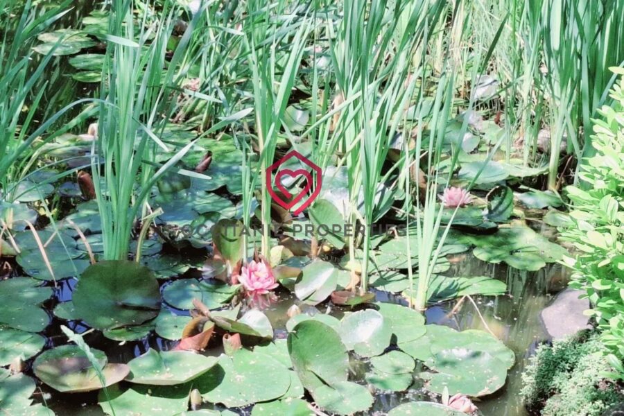 Maison à vendre à Varilhes — Vue nature — photo 28