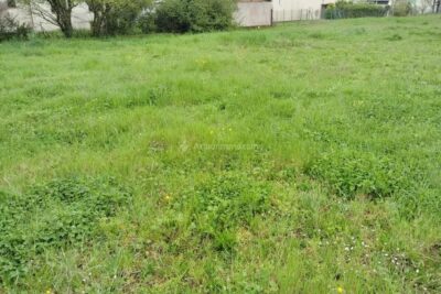 Terrain à vendre à Laboutarie