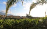 Appartement à vendre à Roquebrune-Cap-Martin — Vue mer — photo 1