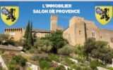 Appartement à vendre à Salon-de-Provence — Vue sur la ville — photo 24