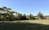Maison à vendre à Port-Brillet — Vue nature — photo 25