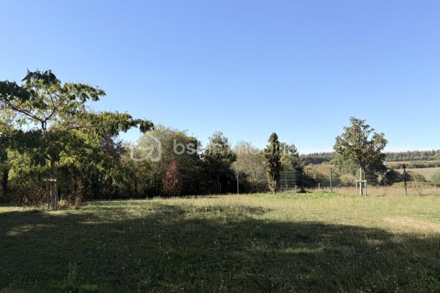 Maison à vendre à Port-Brillet — Vue nature — photo 25