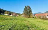 Terrain à vendre à Saint-Dié-des-Vosges — Vue nature — photo 1