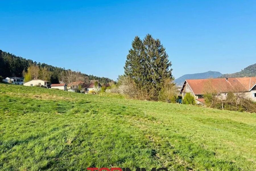 Terrain à vendre à Saint-Dié-des-Vosges — Vue nature — photo 1