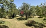 Maison à vendre à Villefranche-de-Lauragais — Vue montagne — photo 21