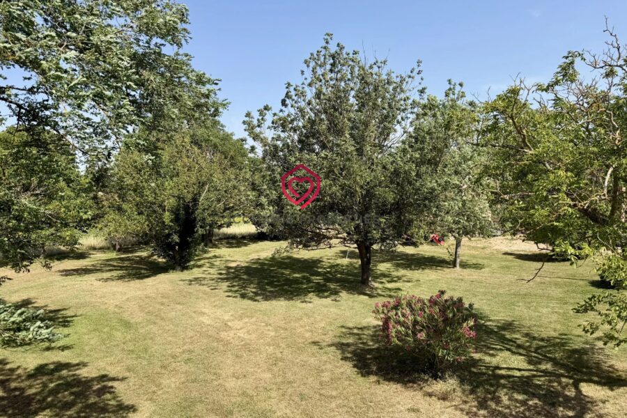 Maison à vendre à Villefranche-de-Lauragais — Vue montagne — photo 21
