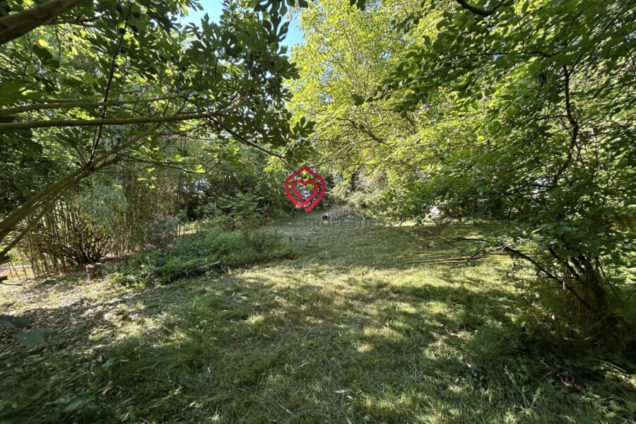 Maison à vendre à Montesquieu-Volvestre — Vue montagne — photo 4