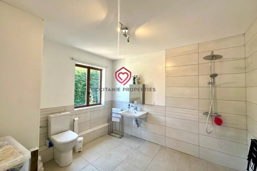 Maison à vendre à Tillac — Vue montagne — photo 21
