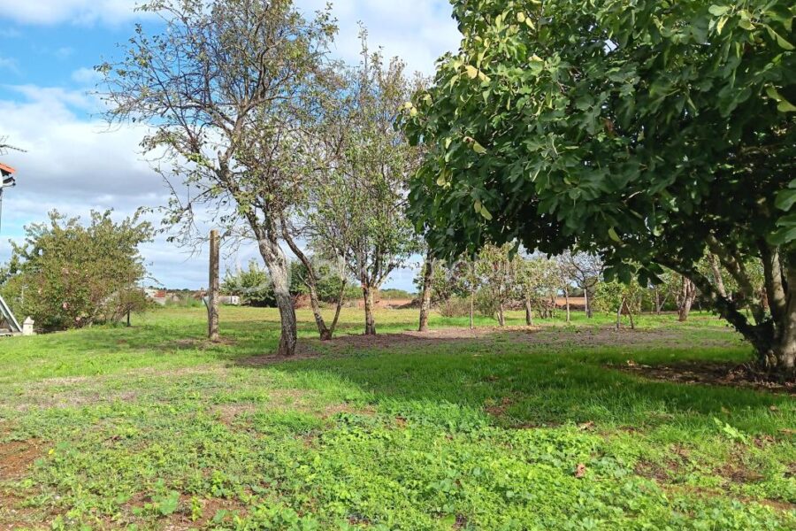 Maison à vendre à Melle — Vue dégagée — photo 1
