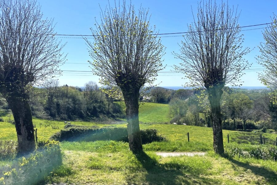 Maison à vendre à Saint-Léger-de-Fougeret — Vue montagne — photo 20