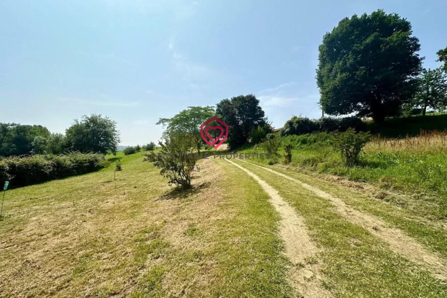 Maison à vendre à Projan — Vue nature — photo 19