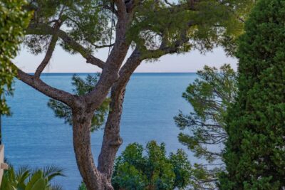 Appartement à vendre à Cap-d&rsquo;Ail