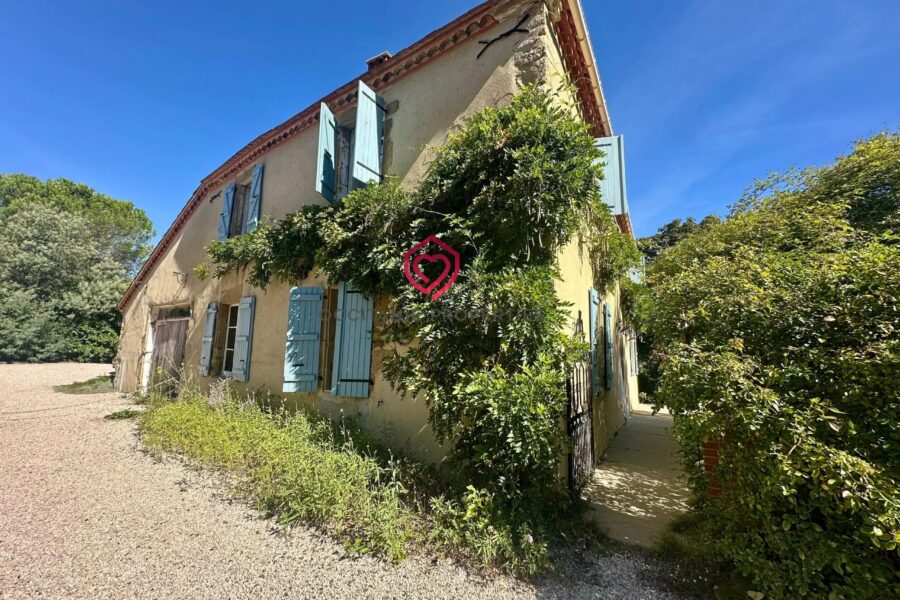 Maison à vendre à Loussous-Débat — Vue nature — photo 45