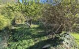 Maison à vendre à Antraigues-sur-Volane — Vue nature — photo 27