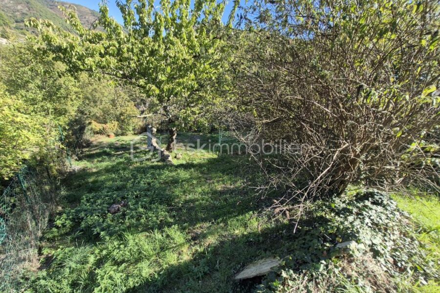 Maison à vendre à Antraigues-sur-Volane — Vue nature — photo 27