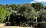 Maison à vendre à Opio — Vue nature — photo 27