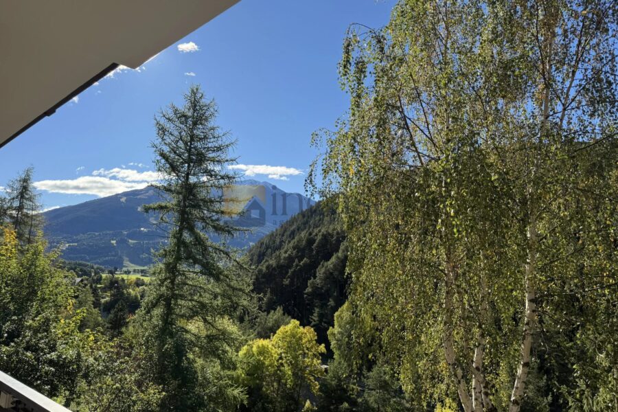Appartement à louer à Valdidentro — Vue montagne — photo 18