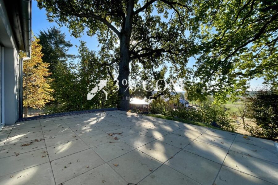 Maison à vendre à Buswiller — Vue nature — photo 28