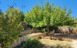 Maison à vendre à Rasteau — Vue nature — photo 28