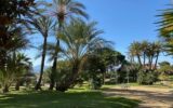 Appartement à vendre à Cannes — Vue mer — photo 10