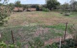 Maison à vendre à Melle — Vue dégagée — photo 29