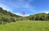 Maison à vendre à Fanjeaux — Vue nature — photo 17