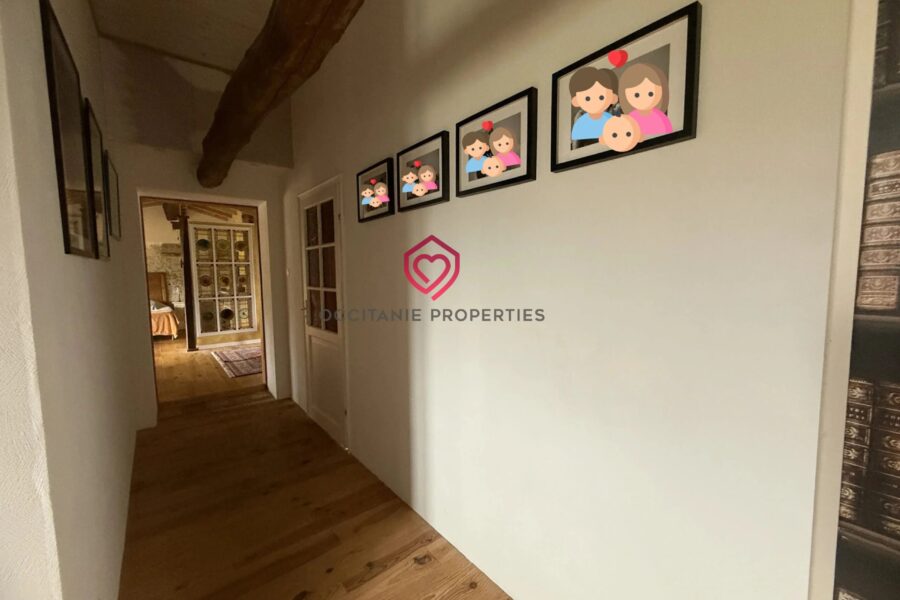 Maison à vendre à Arzens — Vue montagne — photo 17