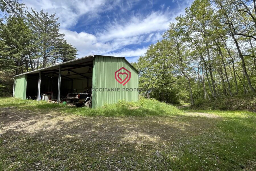 Maison à vendre à Belvèze-du-Razès — Vue montagne — photo 5