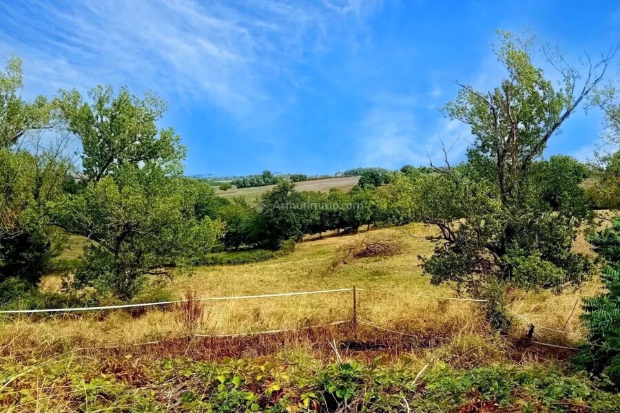 Maison à vendre à Mirandol-Bourgnounac — Vue nature — photo 18