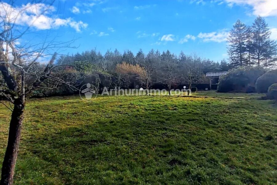 Maison à vendre à Pont-de-Larn — Vue montagne — photo 36