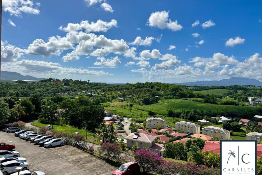 Appartement à vendre à Ducos — Vue mer — photo 8