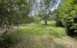 Maison à vendre à Chiddes — Vue parc & jardin — photo 23
