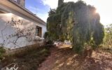 Maison à vendre à Pineuilh — Vue parc & jardin — photo 20