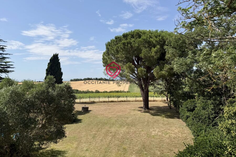 Maison à vendre à Villefranche-de-Lauragais — Vue montagne — photo 20