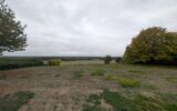 Maison à vendre à Seuilly — Vue nature — photo 14
