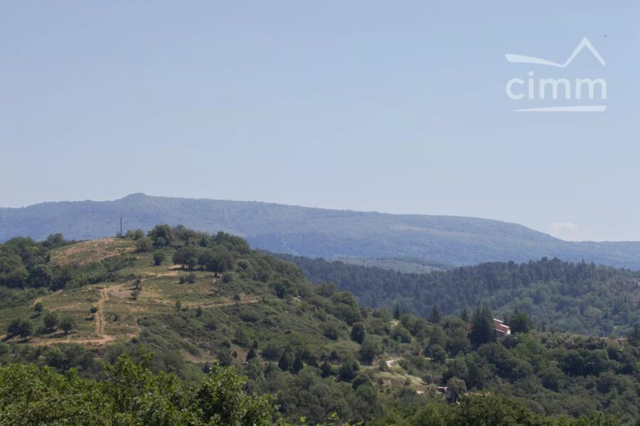 Maison à vendre à Saint-Andéol-de-Vals — Vue montagne — photo 48