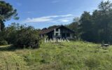 Maison à vendre à Magescq — Vue parc & jardin — photo 14