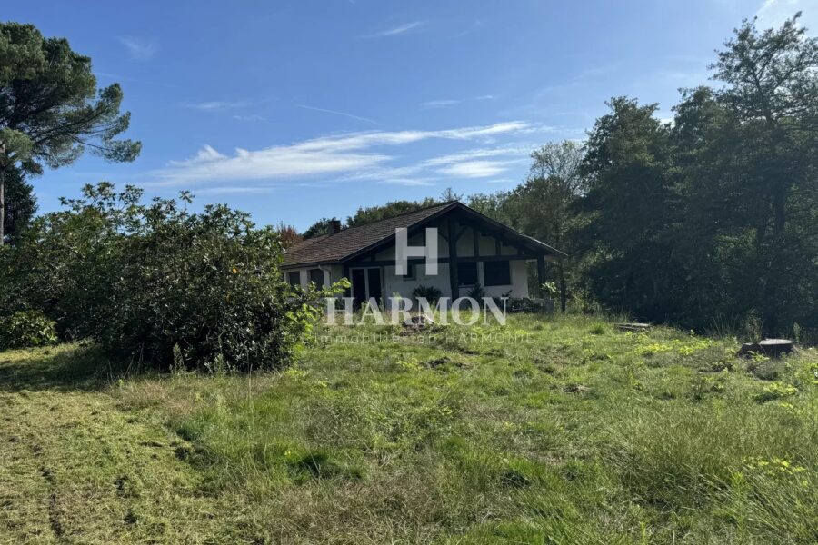 Maison à vendre à Magescq — Vue parc & jardin — photo 14