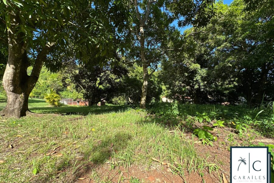 Terrain à vendre à Le François — photo 13