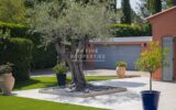 Maison à vendre à Mougins — Vue parc & jardin — photo 27