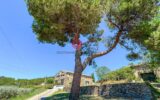 Maison à vendre à Rieux-Minervois — Vue montagne — photo 14