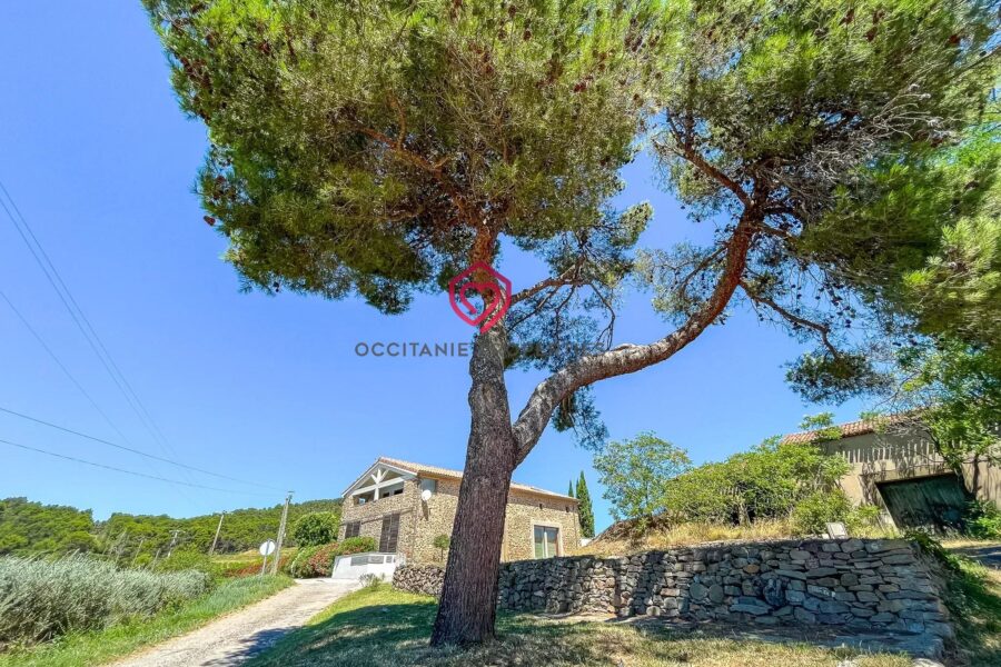 Maison à vendre à Rieux-Minervois — Vue montagne — photo 14