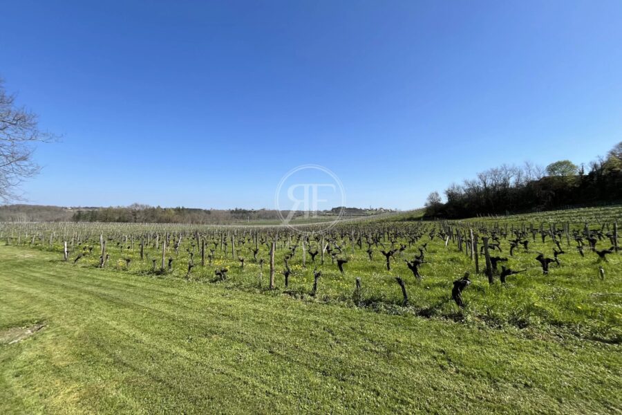 Maison à vendre à Saint-Émilion — Vue vignes — photo 1