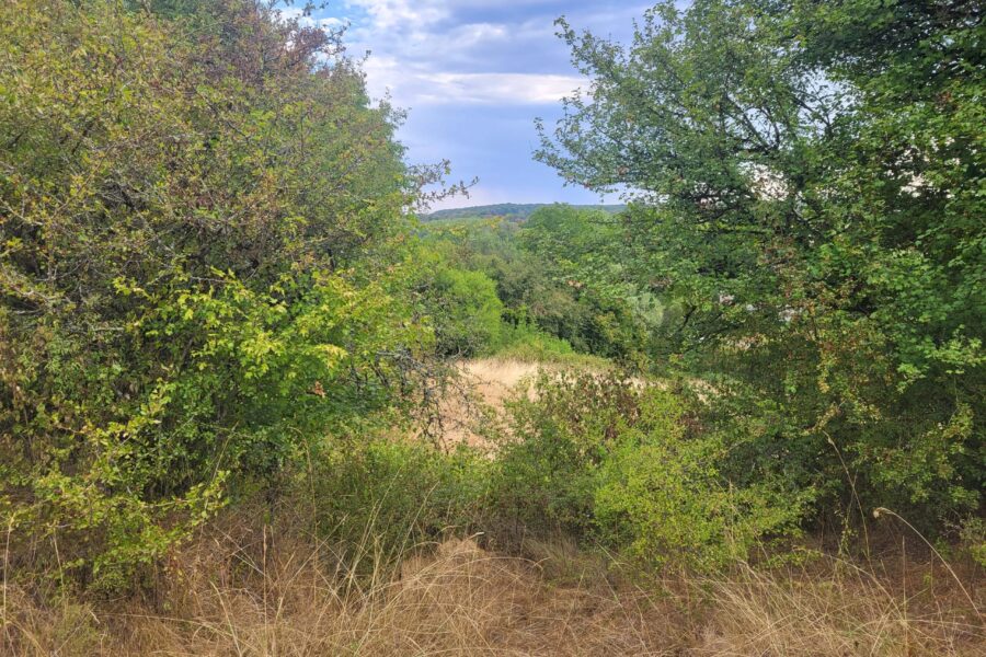 Maison à vendre à Biches — Vue montagne — photo 13