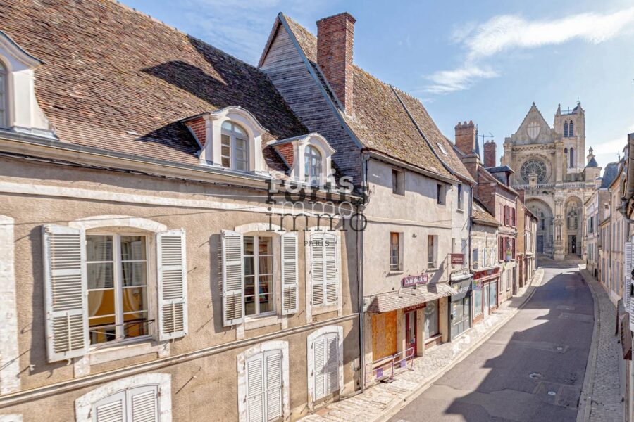 Maison à vendre à Villeneuve-sur-Yonne — Vue parc & jardin — photo 44